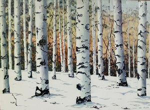 Birches by Shain Bard